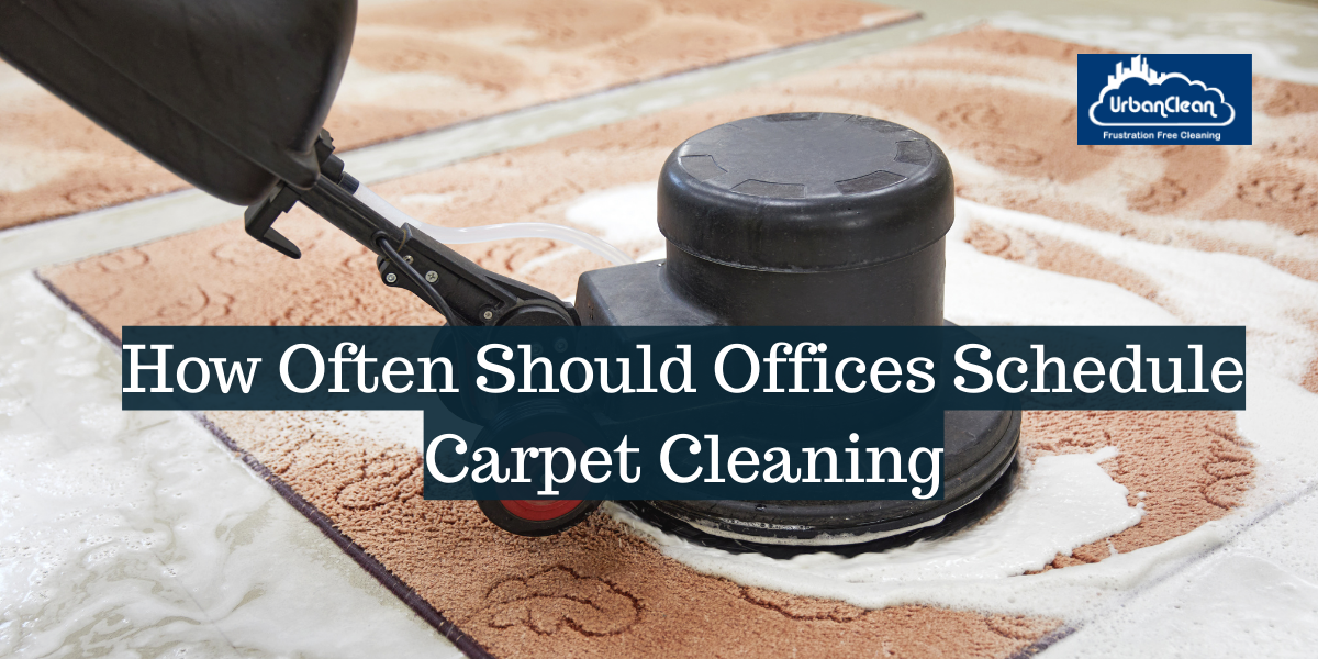 How Often Should Offices Schedule Carpet Cleaning